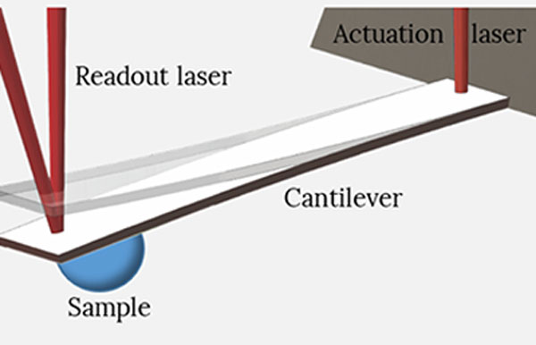 Pico High Precision Scale